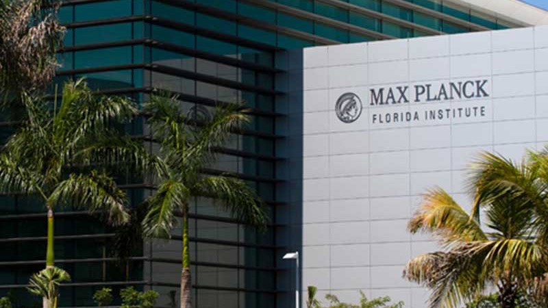Max Planck building