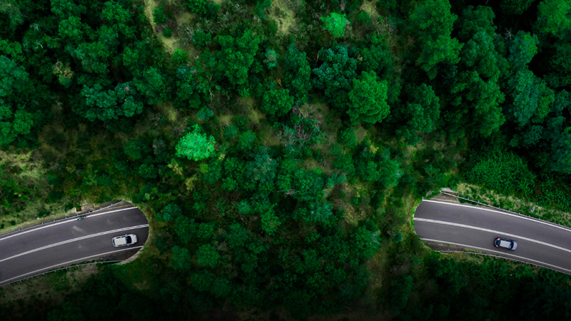 Cars passing on calm country road under a forest-covered bridge