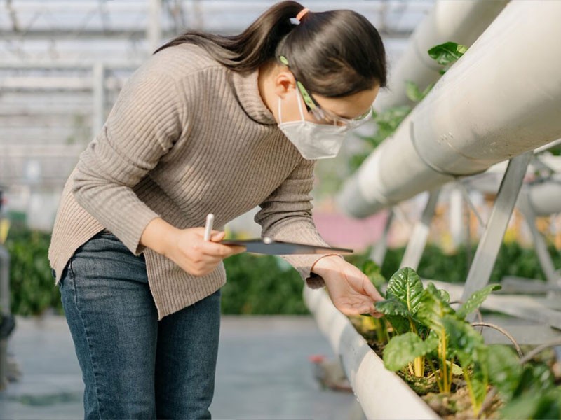 Botanist scientist examines the growth of plants and prepare a report during a quality control inspection in a plant nursery