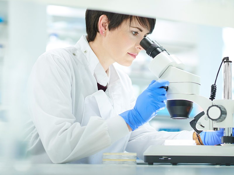 A girl using a microscope