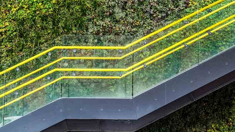 Modern staircase in front of green vertical wall