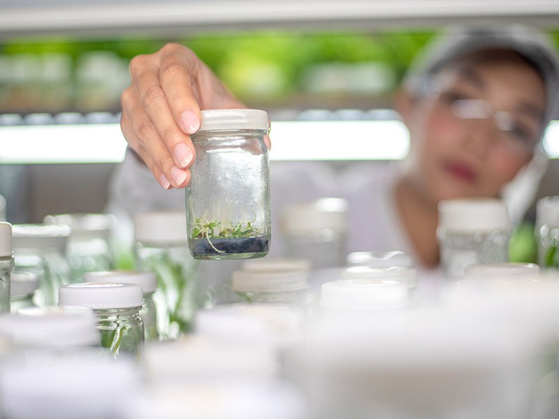 Women at laboratory