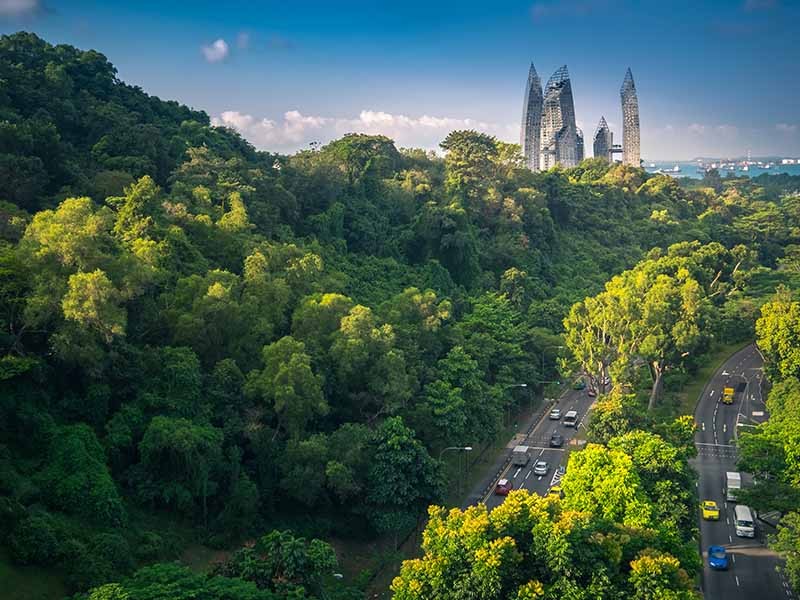 Green city