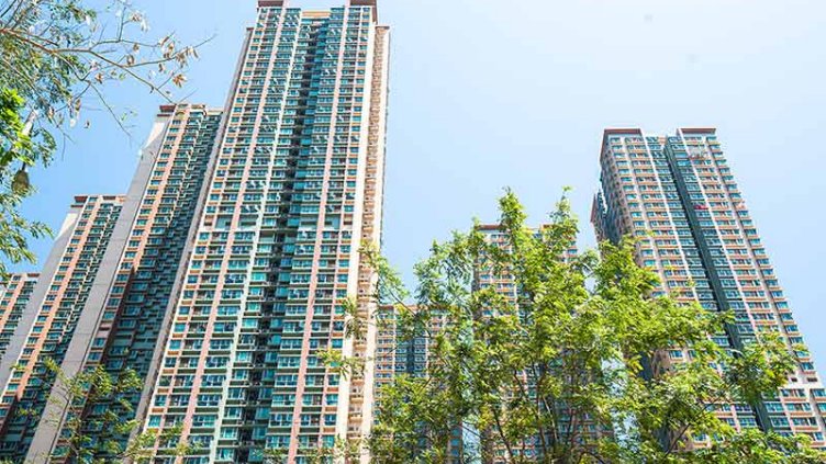 Apartments with trees