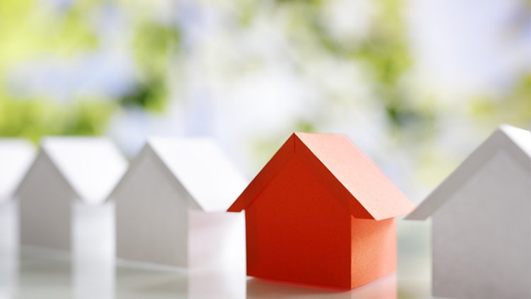 House miniature 