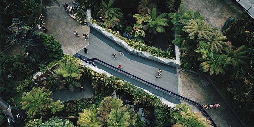 Bridge aerial view