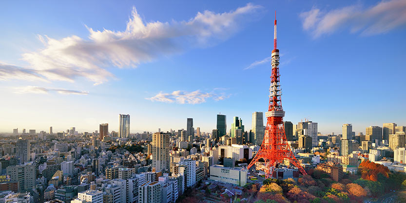 Elevated view of Tokyo cityscape including Tokyo Tower