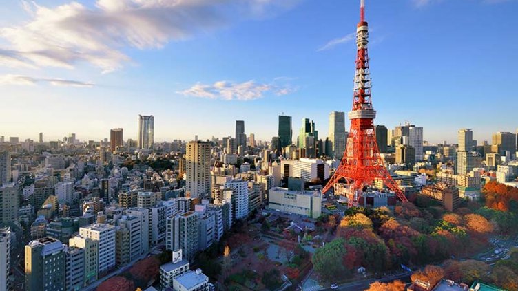 Elevated view of Tokyo cityscape including Tokyo Tower
