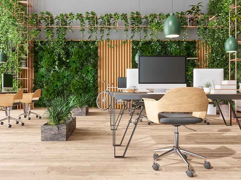 Greenery in the workplace