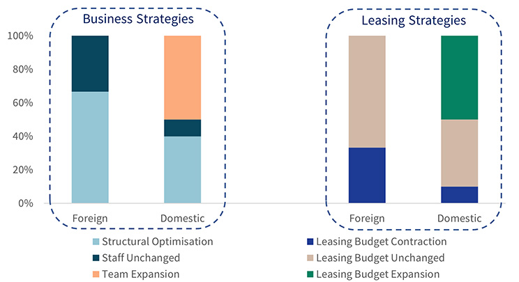 Business Strategies and Leasing Strategies of Companies in Professional Services by Origin