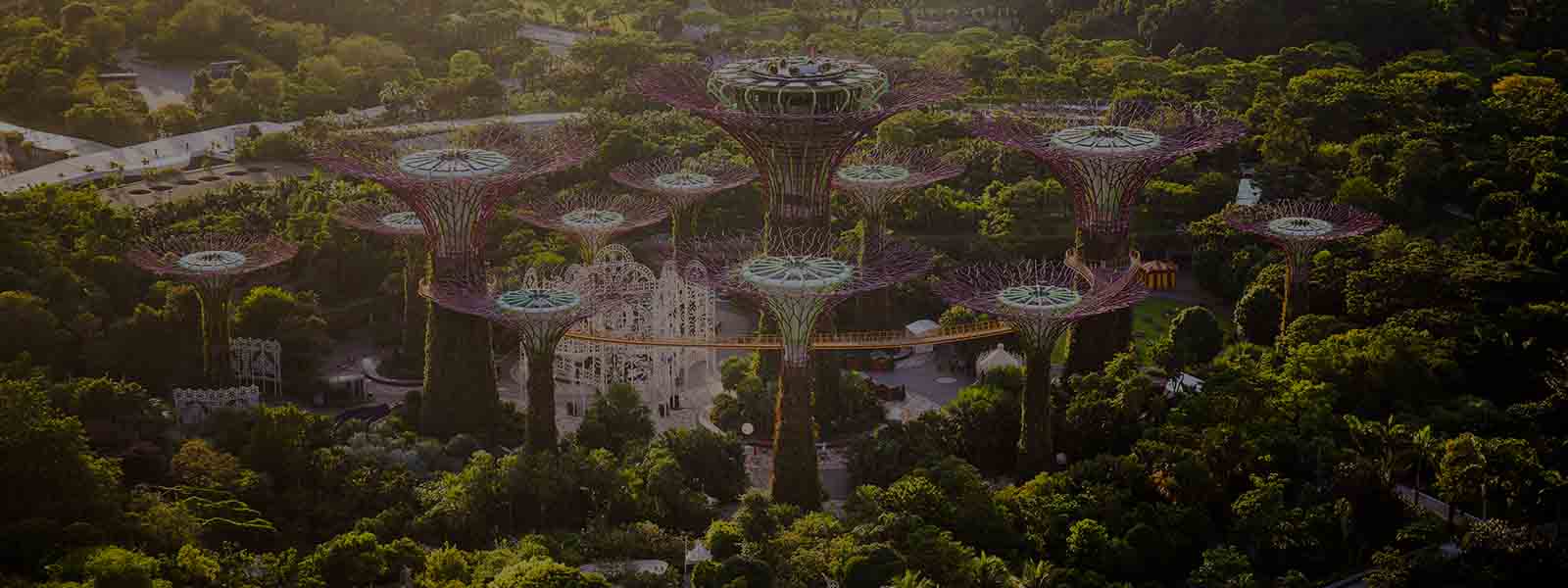 Supertree Grove cloud forest in Singapore