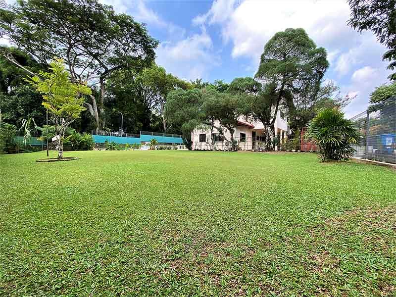 Green lawn