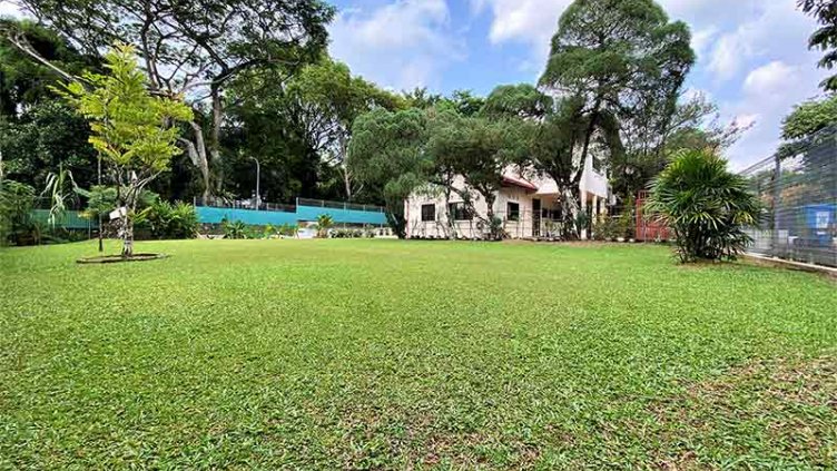 Green lawn
