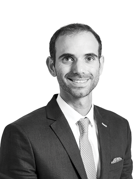 Michael Ignatiadis,Head of Supply Chain & Logistics Solutions, Asia Pacific