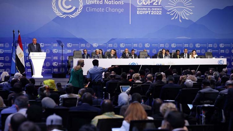 COP27 delegates in Egypt